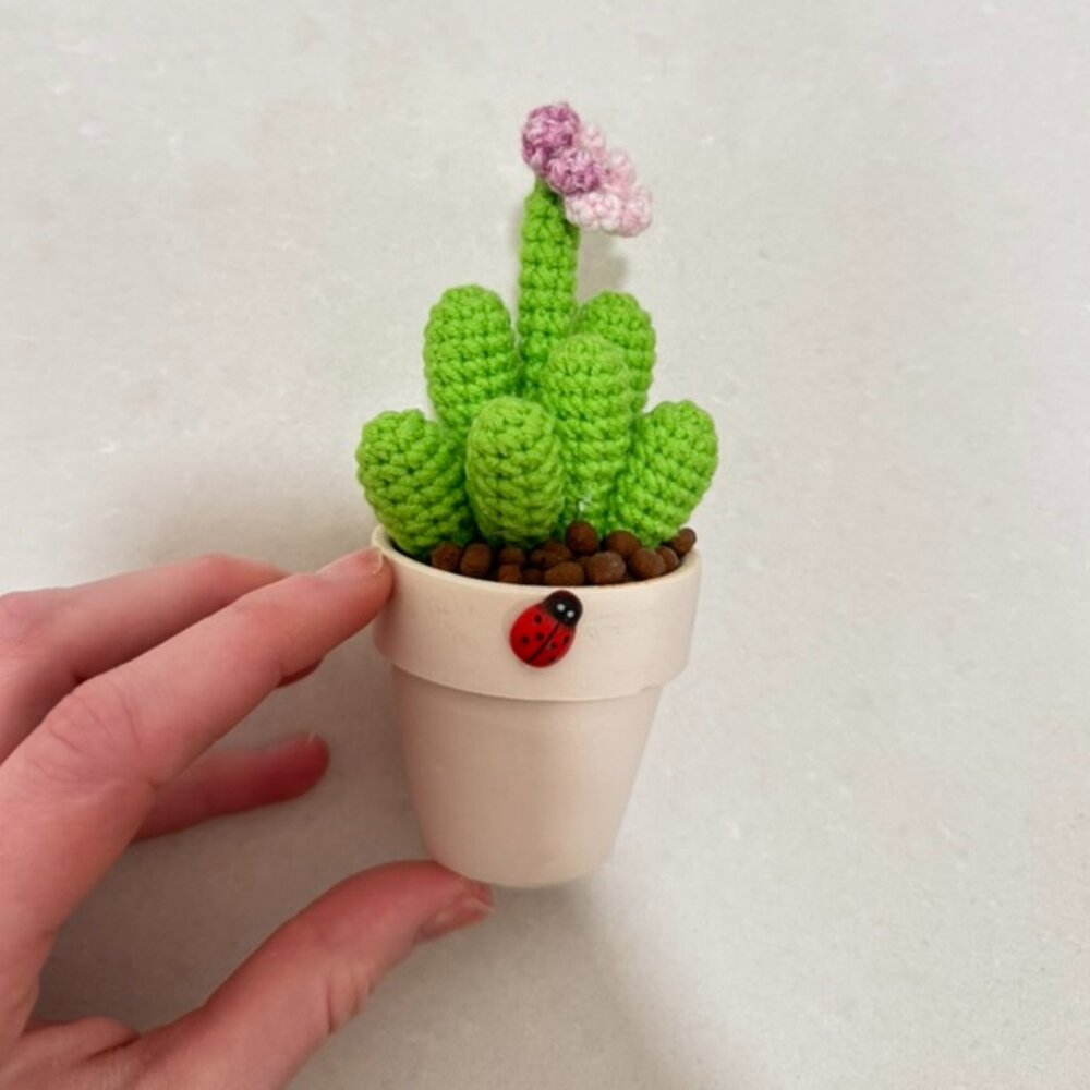 Handmade Crochet Cactus in Pot Cute Desk Decor Amigurumi Plant Gift